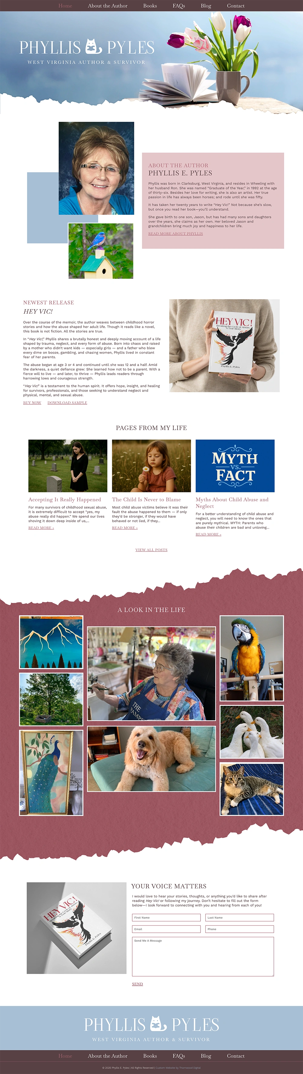 How the website looked after